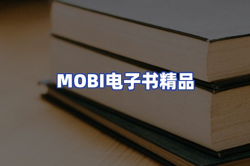 外文电子书产品